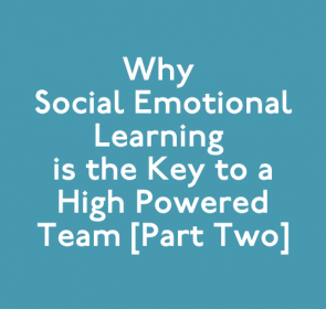 Why Social Emotional Learning is the Key to a High Powered Team [Part Two]