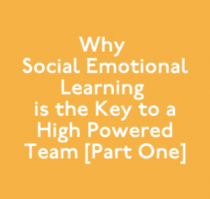 Why Social Emotional Learning is the Key to a High Powered Team [Part One]